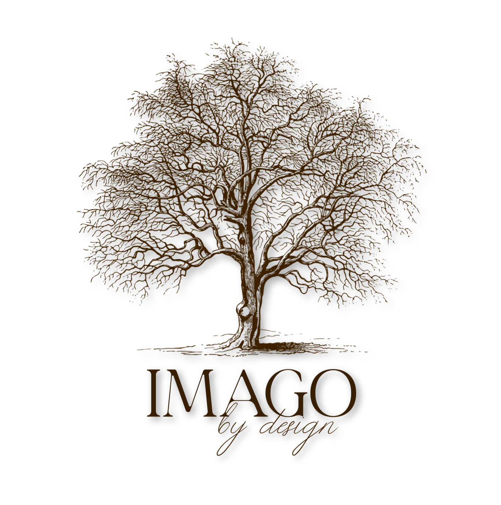 Imago by Design Photography